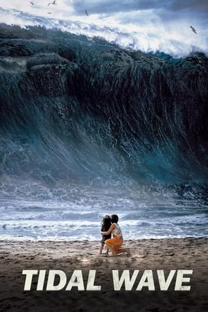 Tidal Wave (2009) Hindi Dual Audio [1GB] ESubs HD Poster Download - Filmyzilla